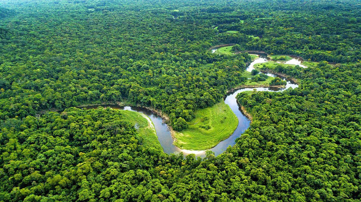 Pralesná škola a indiánske tradície – Agustin Allpa Grefa