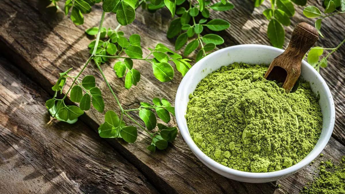 Prečo je Moringa považovaná za jeden z najvýživnejších rastlinných zdrojov