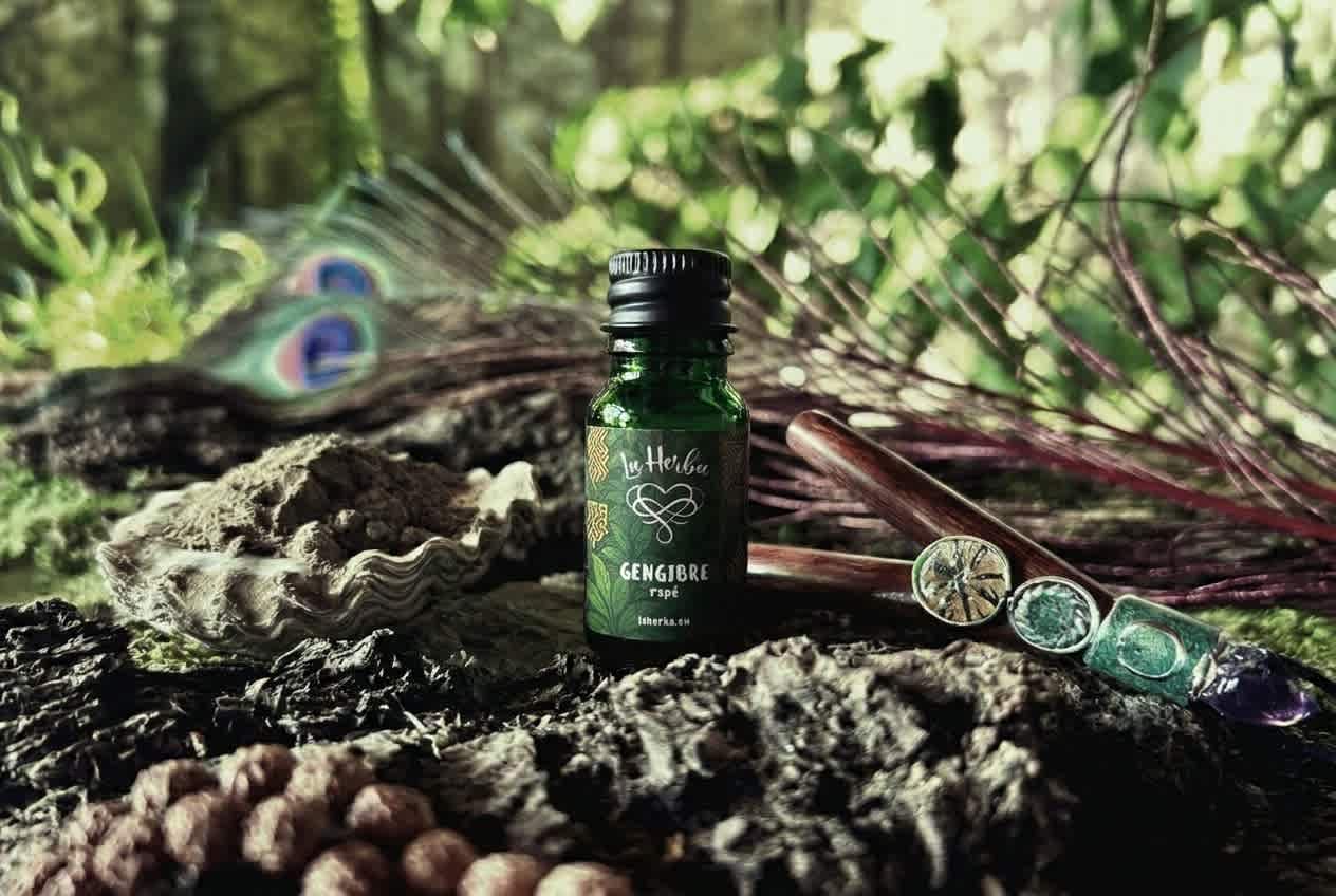 Gengibre Rap&eacute; La Herba