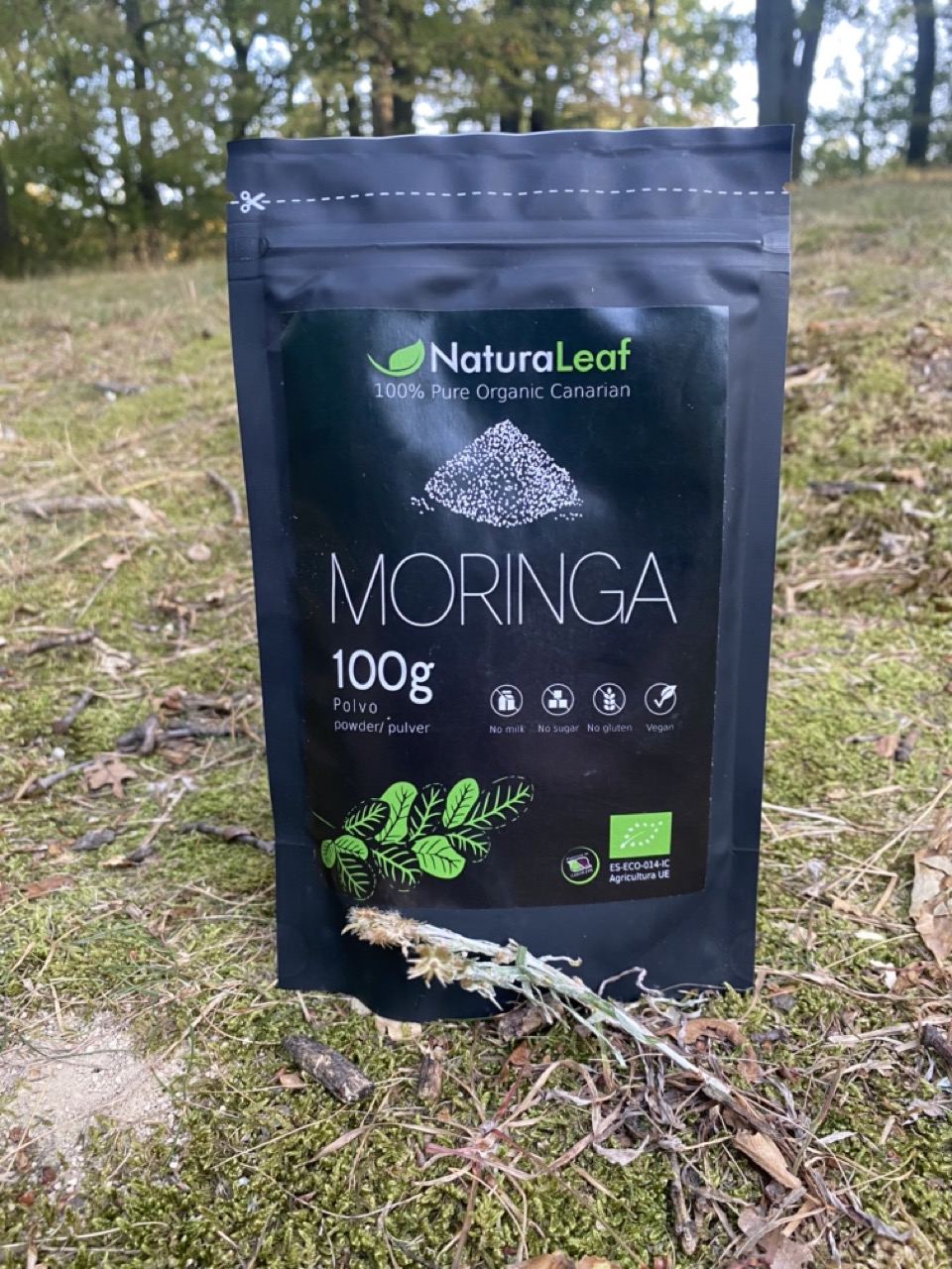 Moringa from Tenerife Canary