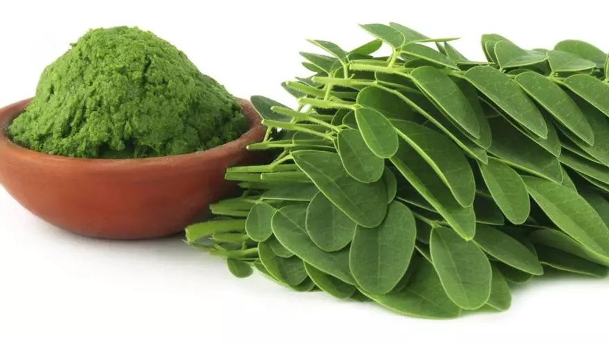 moringa-prášok-powder