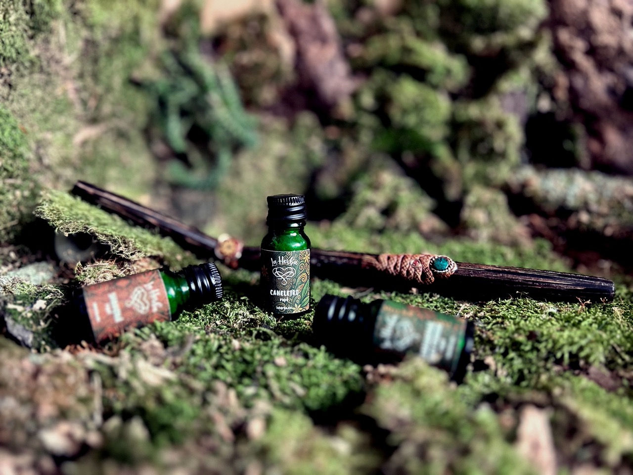 Caneleiro Rap&eacute; LaHerba