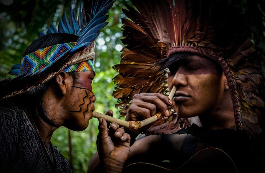 Rapé sacred medicines how to use