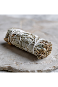 Obrázok pre Šalvia biela 10cm