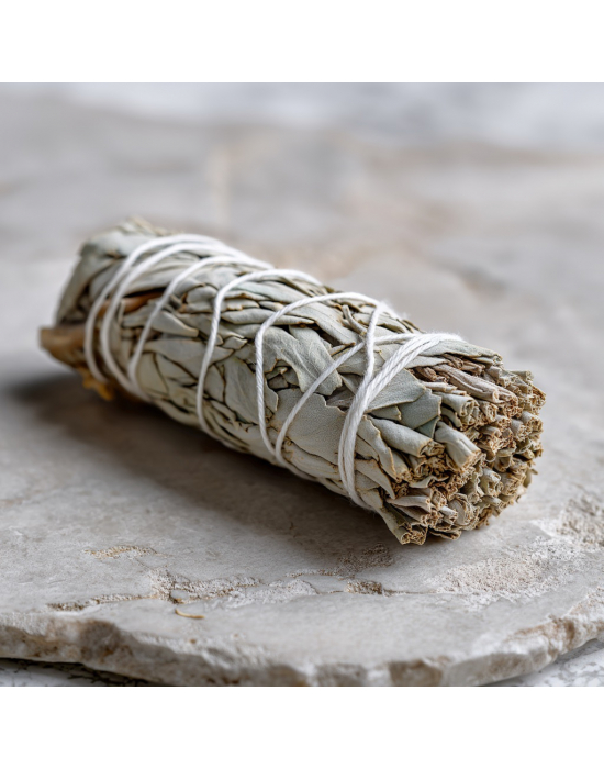 Obrázok pre Šalvia biela 10cm