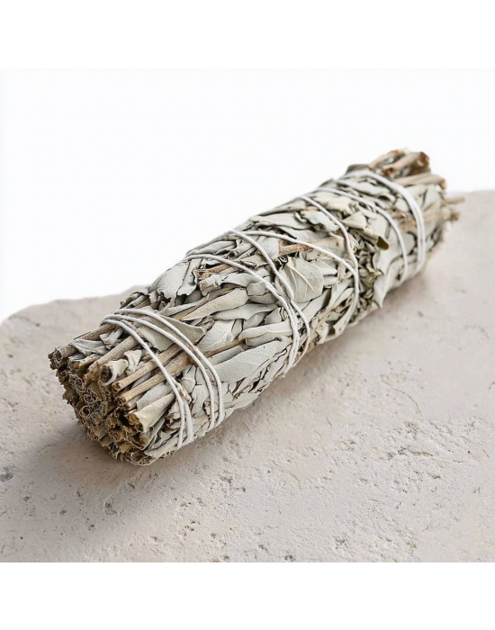 Obrázok pre Šalvia biela kingsize 23cm