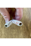 Obrázok pre Kuripe Fossil