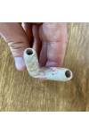 Obrázok pre Kuripe Fossil